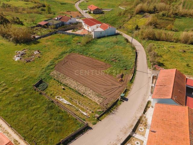 Terreno venda em Serra do Porto de Urso, Leiria