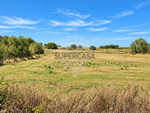 Terreno venda em Fação, Pero Pinheiro
