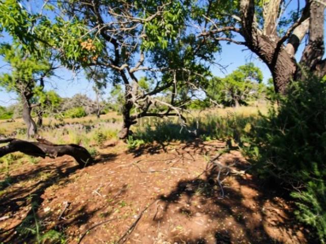 Terreno venda em Faro