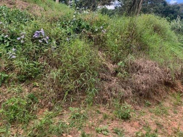 Terreno venda em Região Imediata de Jundiaí, Louveira