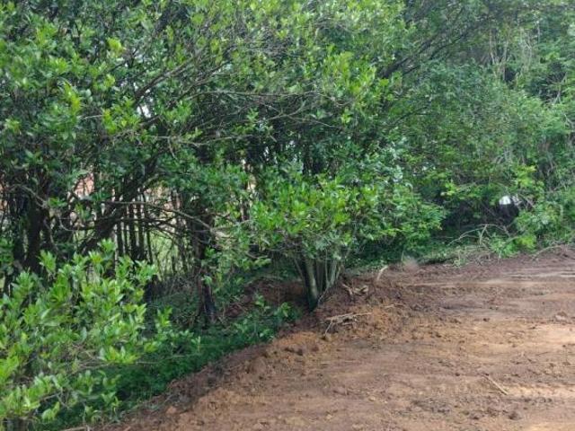 Terreno venda em Região Imediata de Jundiaí, Louveira