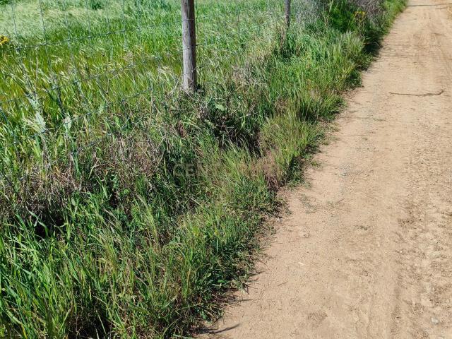Terreno venda em Redondo, Évora