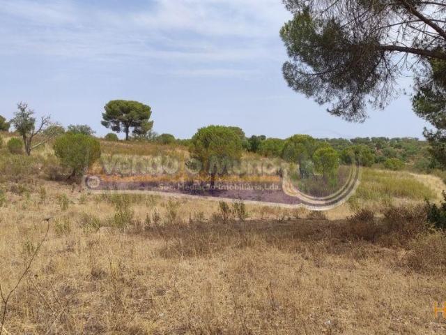 Terreno venda em Mora, Évora