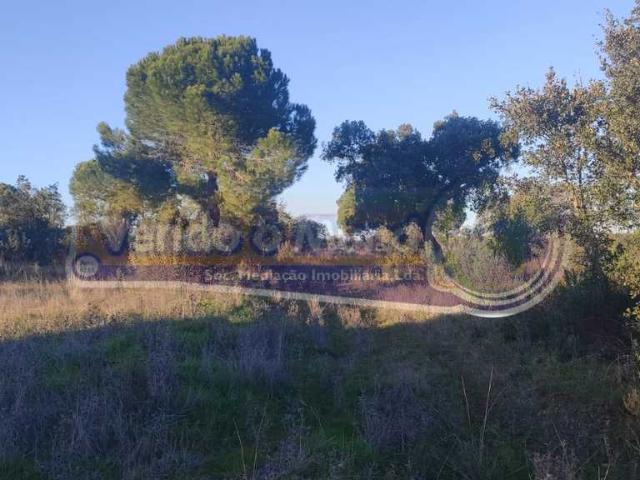 Terreno venda em Mora, Évora