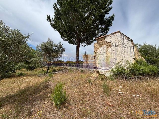 Terreno venda em Mora, Évora
