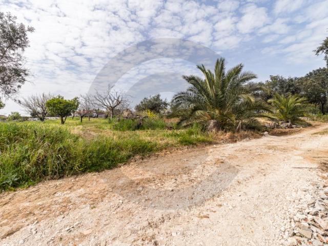 Terreno venda em Torres Novas, Santarém