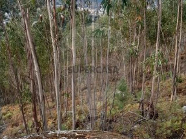 Terreno venda em Parada Do Bouro, Braga