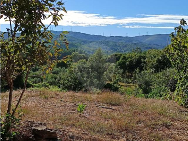 Terreno venda em Castelo Branco, Oleiros