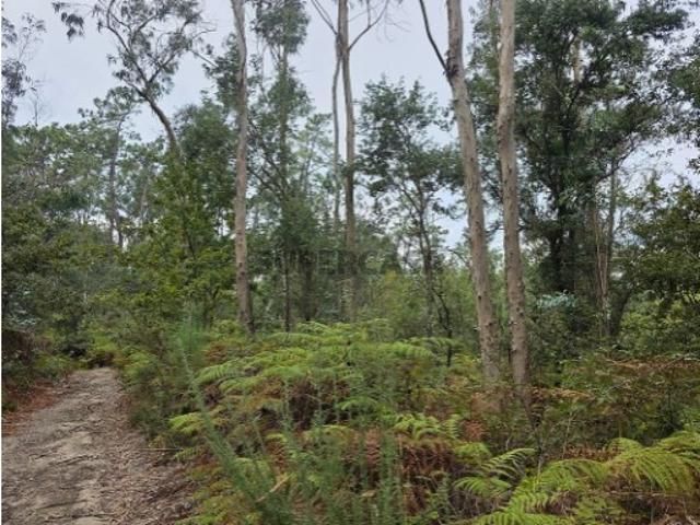 Terreno venda em Rio Longo, Parada Do Bouro