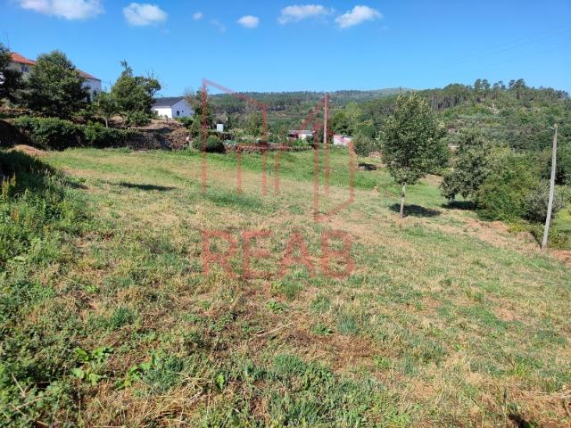 Terreno venda em Carregal, Viseu
