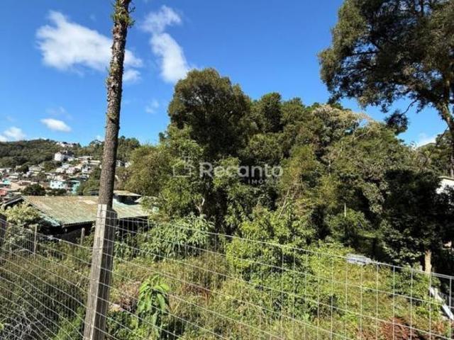 Terreno venda em Gramado