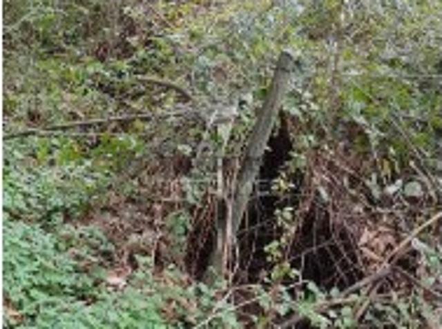 Terreno venda em Peso Da Régua, Vila Real