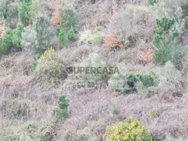 Terreno venda em Peso Da Régua, Vila Real