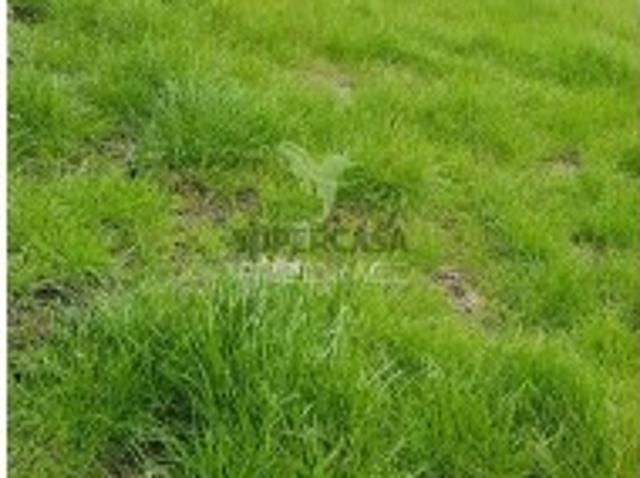 Terreno venda em Peso Da Régua, Vila Real