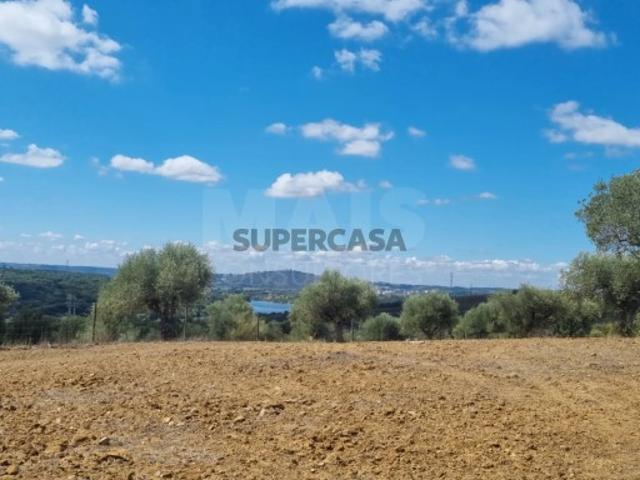 Terreno venda em Abrantes, Santarém