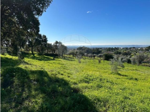 Terreno venda em Abrantes, Santarém