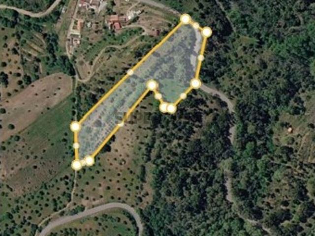 Terreno venda em Abrantes, Santarém