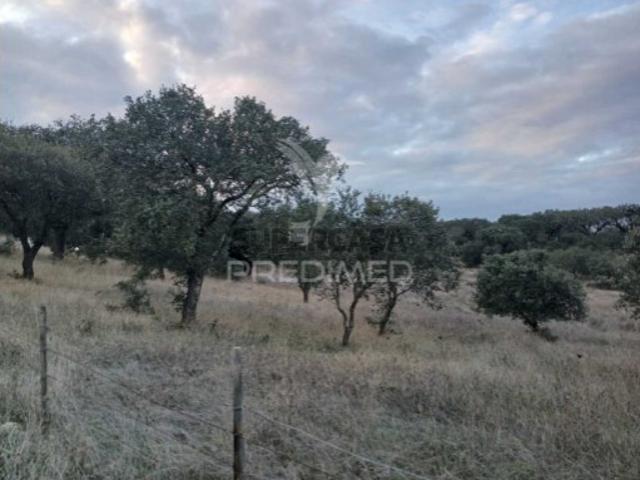 Terreno venda em Capelins (Santo António), Évora