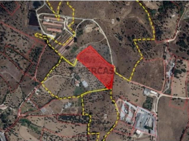 Terreno venda em Silveiras, Montemor-o-novo