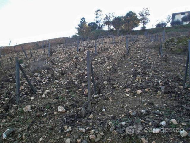Terreno venda em Nagoselo Do Douro, Viseu