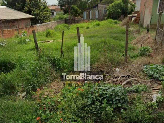 Terreno venda em Neves, Ponta Grossa