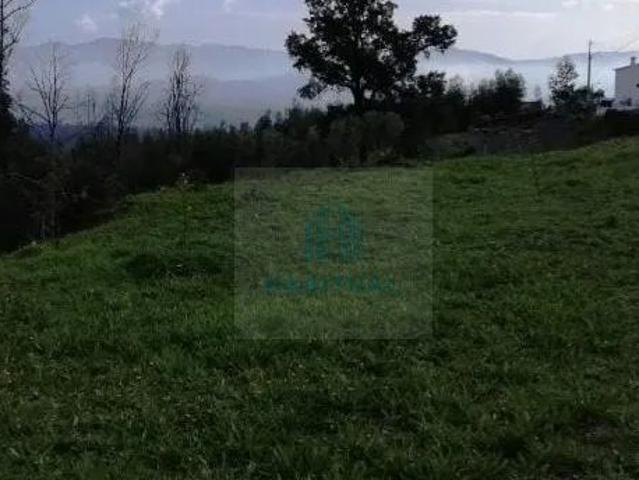 Terreno venda em Viana Do Castelo