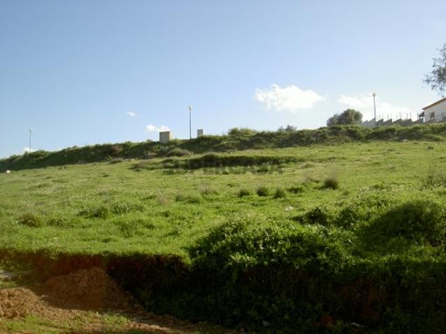 Terreno venda em Vila Viçosa Terreno venda em Vila Viçosa