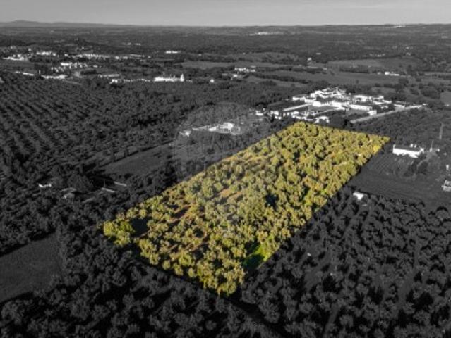 Terreno venda em Vila Viçosa, Ciladas Terreno venda em Vila Viçosa, Ciladas