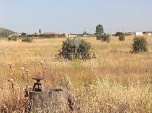 Terreno venda em Campo Maior, Portalegre