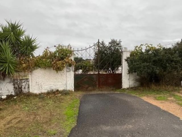 Terreno venda em Nossa Senhora das Neves, Beja