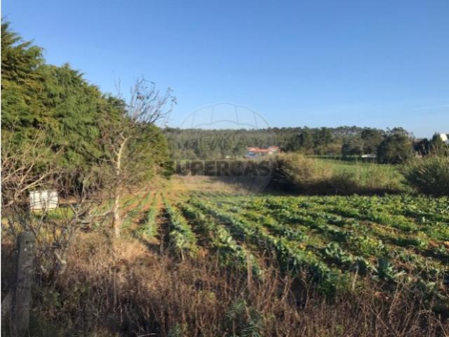 Terreno venda em Crocha, Caldas Da Rainha