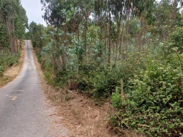 Terreno venda em Nossa Senhora do Pópulo, Caldas Da Rainha