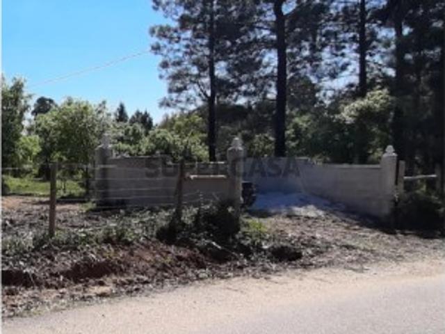 Terreno venda em Dornes, Rego Da Murta