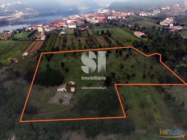 Terreno venda em Penacova, Coimbra