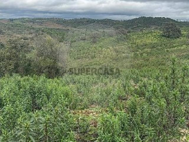 Terreno venda em Castro Marim, Faro