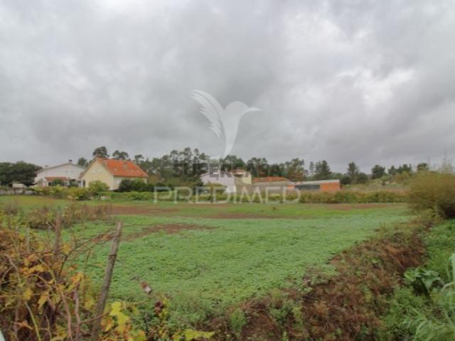 Terreno venda em Perraes, Oliveira Do Bairro