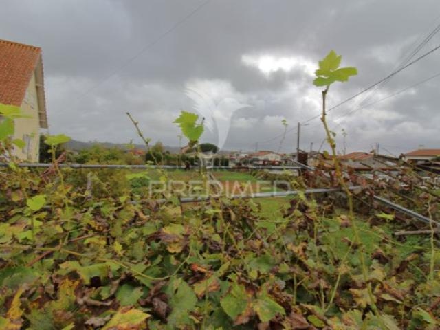 Terreno venda em Perraes, Oliveira Do Bairro