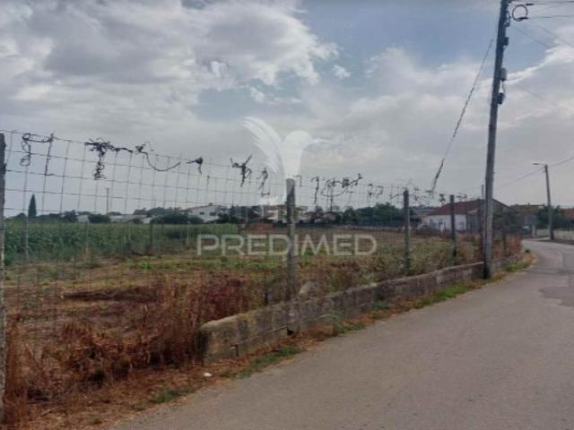 Terreno venda em Oliveira Do Bairro, Aveiro