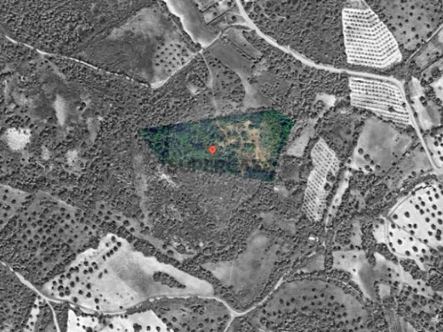 Terreno venda em Torres Novas, Santarém