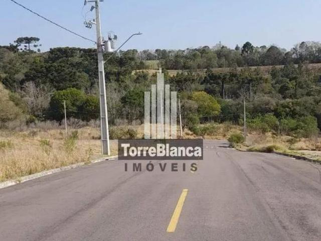 Terreno venda em Jardim São Gabriel, Ponta Grossa
