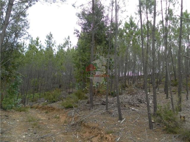 Terreno venda em Castelo Branco, Oleiros