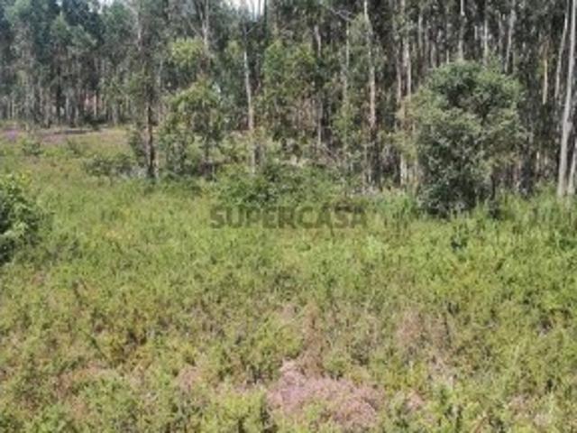 Terreno venda em Oleiros, Vila Verde