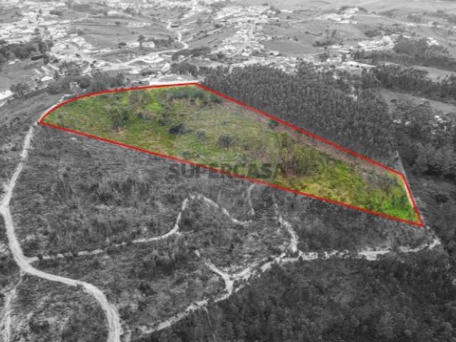 Terreno venda em Alenquer, Poçaria