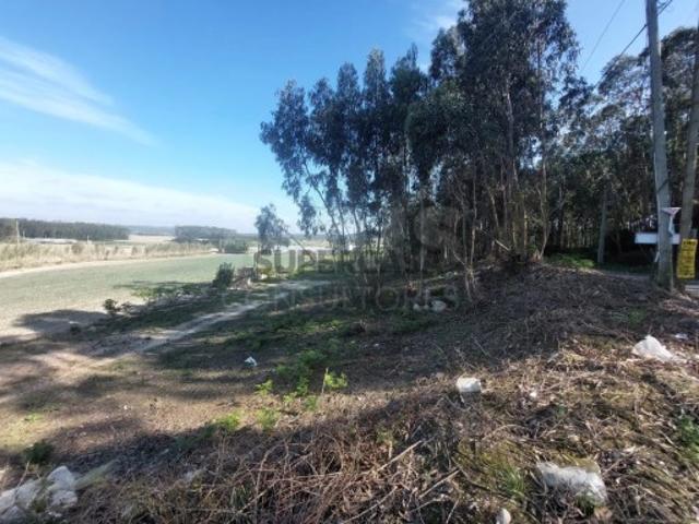 Terreno venda em Olho Marinho, Óbidos