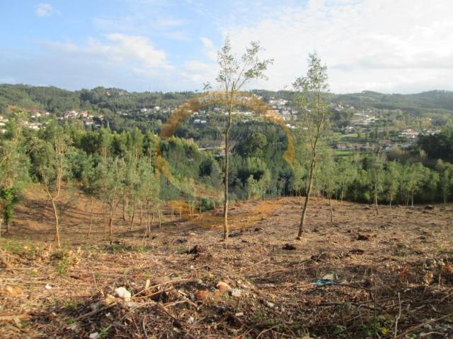 Terreno venda em Oliveira De Azeméis, Aveiro