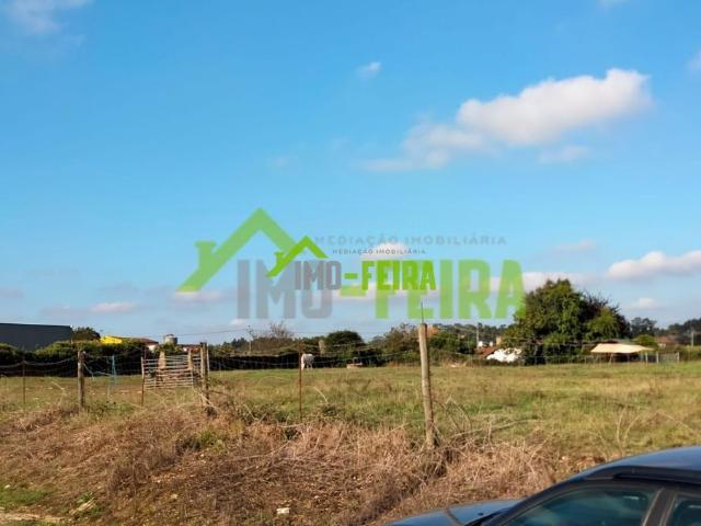 Terreno venda em Oliveira De Azeméis, Aveiro
