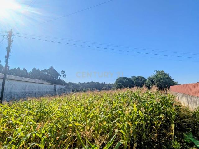 Terreno venda em Serena, Oliveira Do Bairro