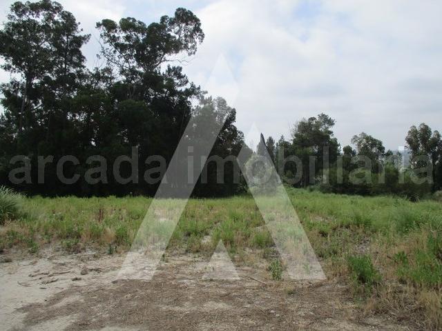 Terreno venda em Oliveira Do Bairro, Aveiro