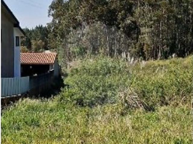 Terreno venda em Oliveira Do Bairro, Aveiro