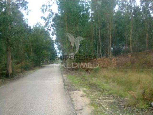 Terreno venda em Oliveira Do Bairro, Aveiro
